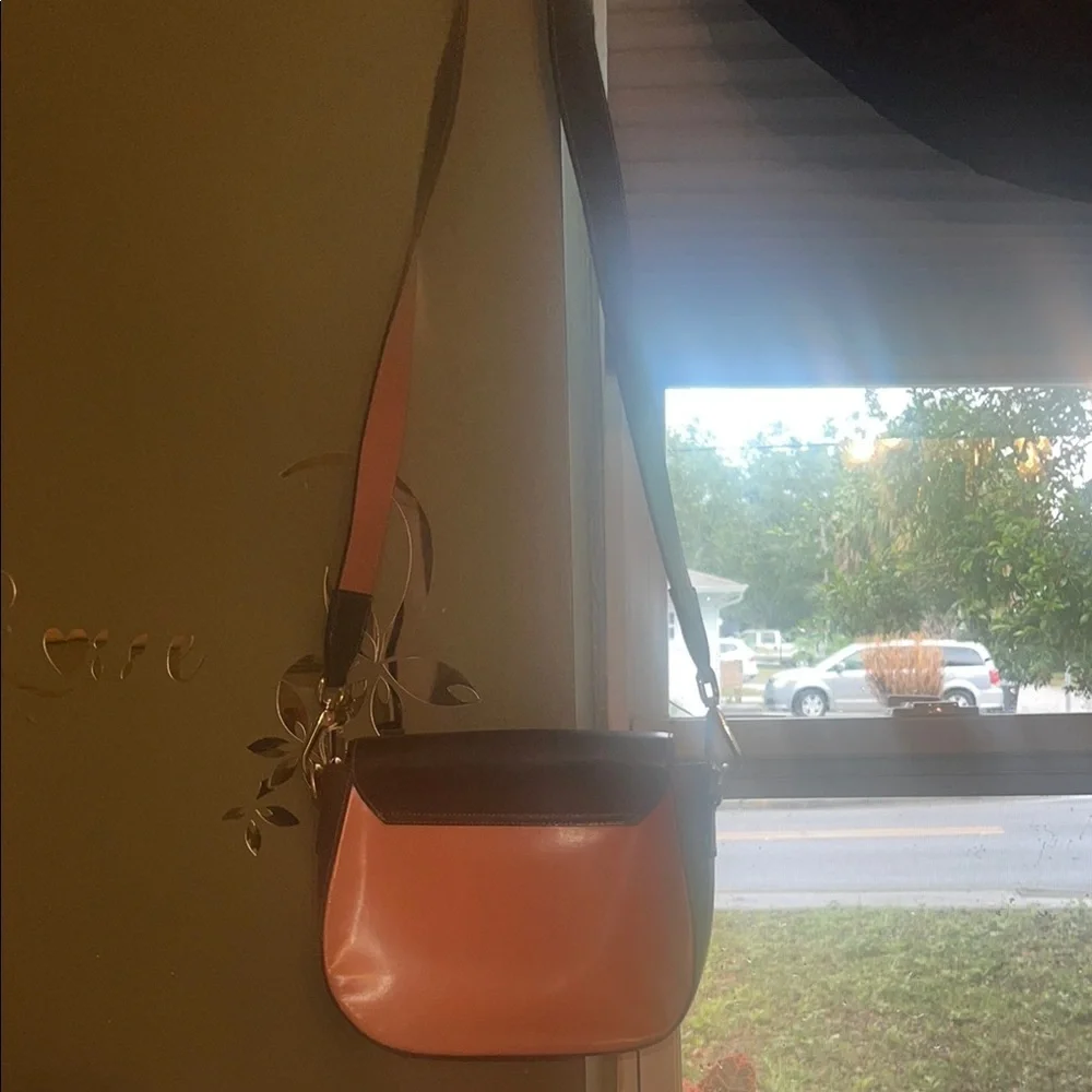 Stylish Pink and Brown Women's Bag